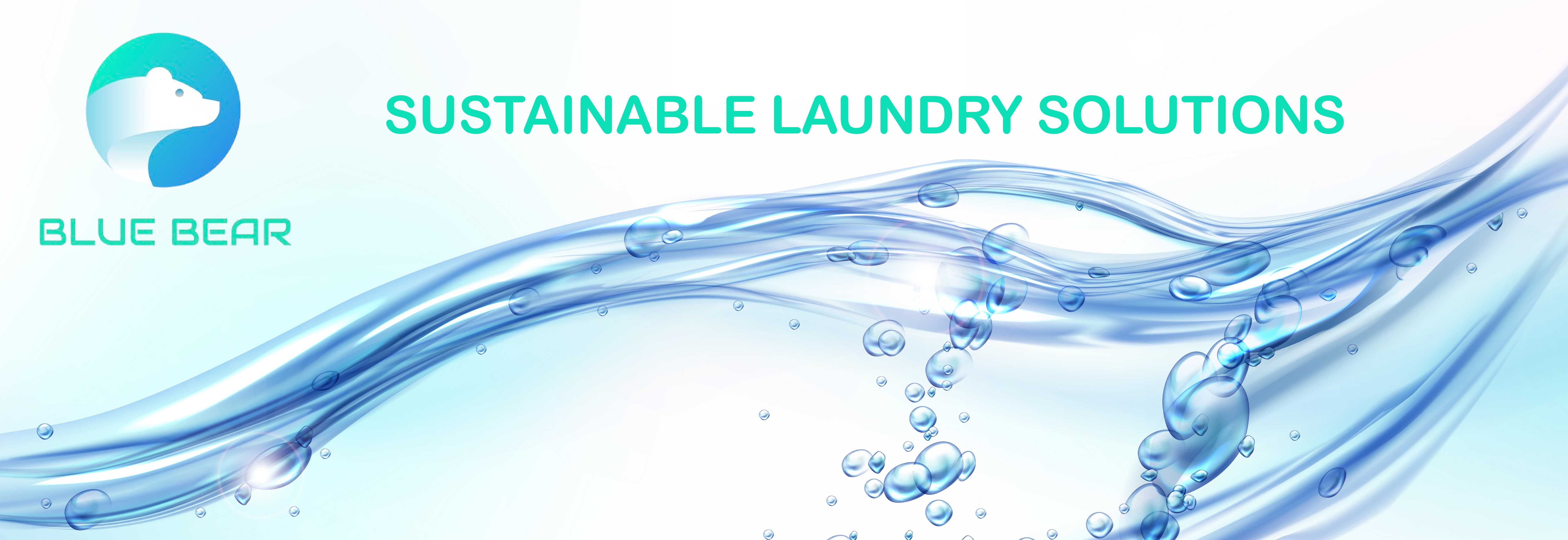 Blue Bear Laundry System